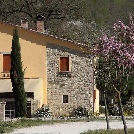 Tenuta Le Garzaie - Villa Furlo Fermignano Esterno foto